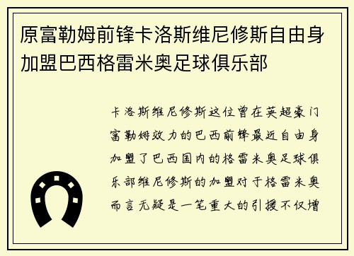原富勒姆前锋卡洛斯维尼修斯自由身加盟巴西格雷米奥足球俱乐部